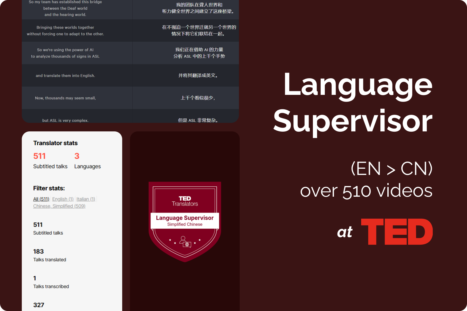 TED Language Supervisor & Translator